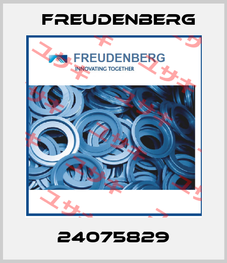 24075829 Freudenberg