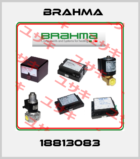 18813083 Brahma