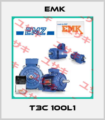 T3C 100L1 EMK