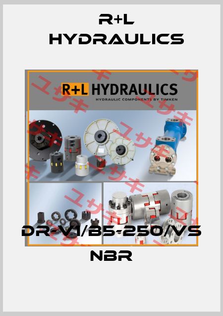 DR-V1/B5-250/VS NBR R+L HYDRAULICS