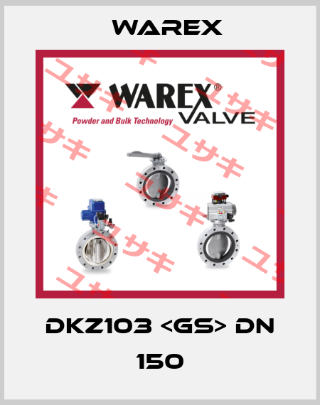 DKZ103 <GS> DN 150 Warex
