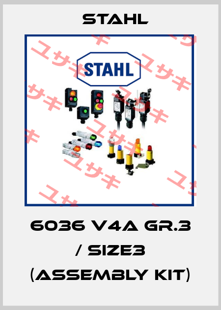 6036 V4A Gr.3 / size3 (Assembly kit) Stahl