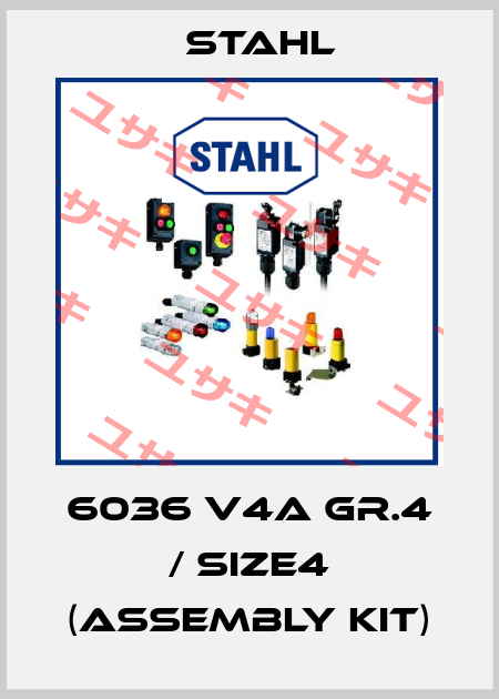 6036 V4A Gr.4 / size4 (Assembly kit) Stahl