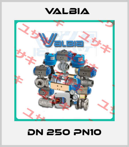 DN 250 PN10 Valbia