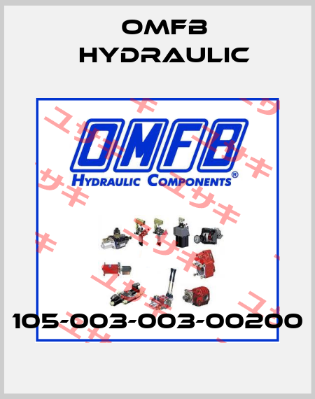 105-003-003-00200 OMFB Hydraulic