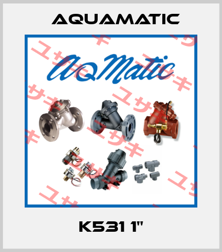 K531 1" AquaMatic