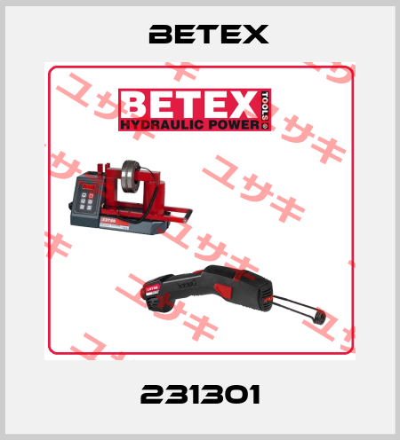 231301 BETEX