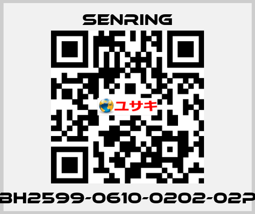 BH2599-0610-0202-02P SENRING