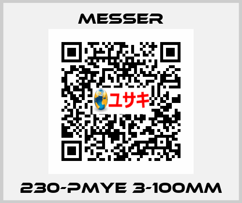 230-PMYE 3-100mm Messer