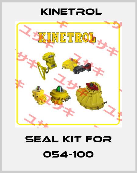 seal kit for 054-100 Kinetrol