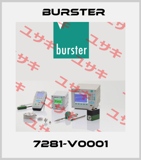 7281-V0001 Burster