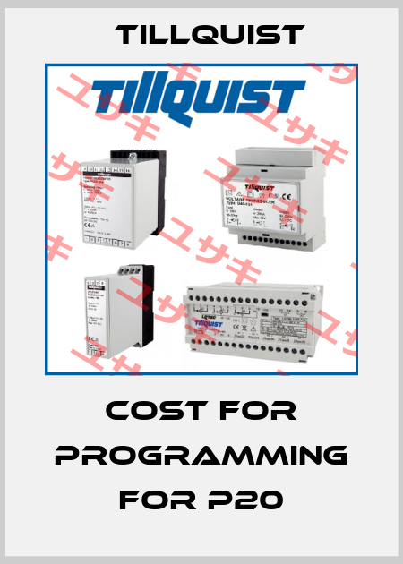 cost for programming for P20 Tillquist