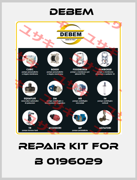 Repair kit for B 0196029 Debem