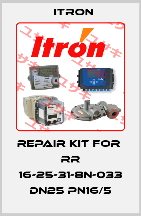 repair kit for  RR 16-25-31-8N-033 DN25 PN16/5 Itron