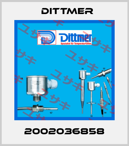 2002036858 Dittmer