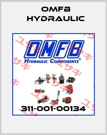 311-001-00134 OMFB Hydraulic