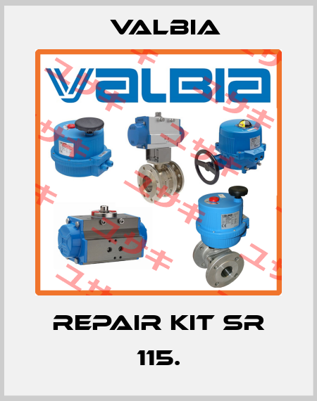 repair kit SR 115. Valbia
