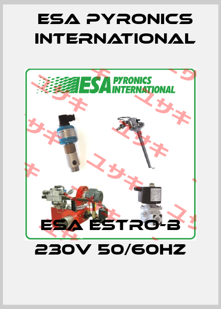 ESA ESTRO-B 230V 50/60Hz ESA Pyronics International