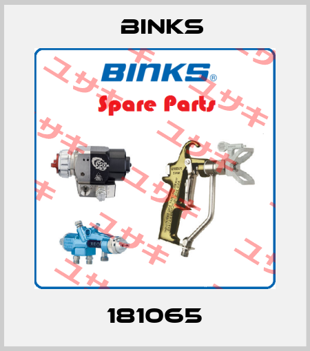 181065 Binks