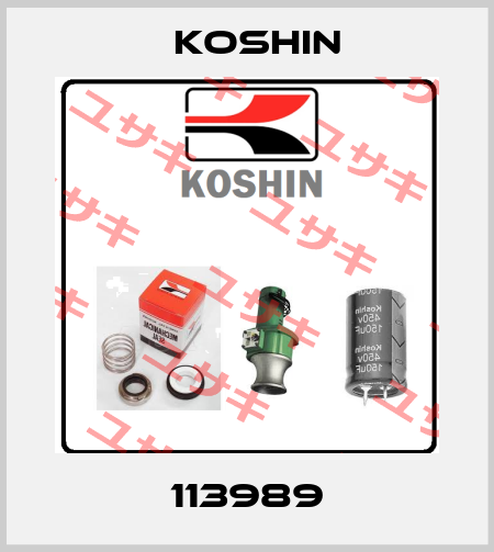 113989 Koshin