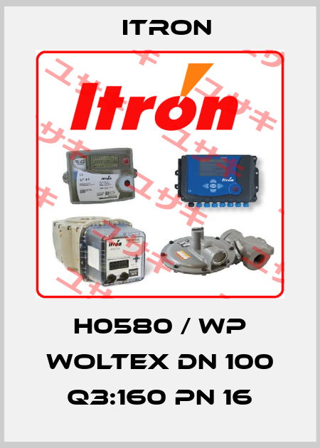 H0580 / WP Woltex DN 100 Q3:160 PN 16 Itron
