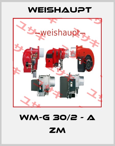 WM-G 30/2 - A ZM Weishaupt