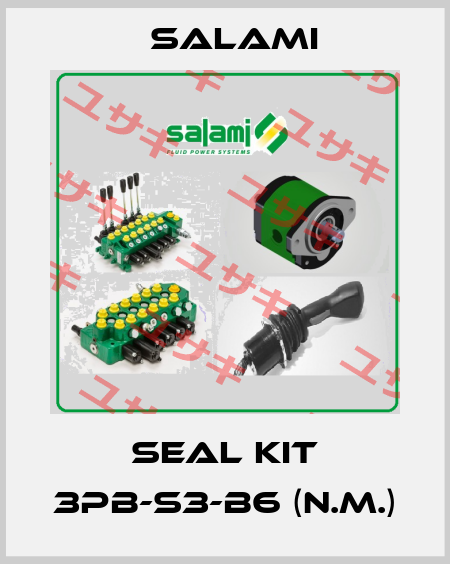 SEAL KIT 3PB-S3-B6 (N.M.) Salami