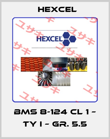 BMS 8-124 cl 1 – ty I – gr. 5.5 Hexcel