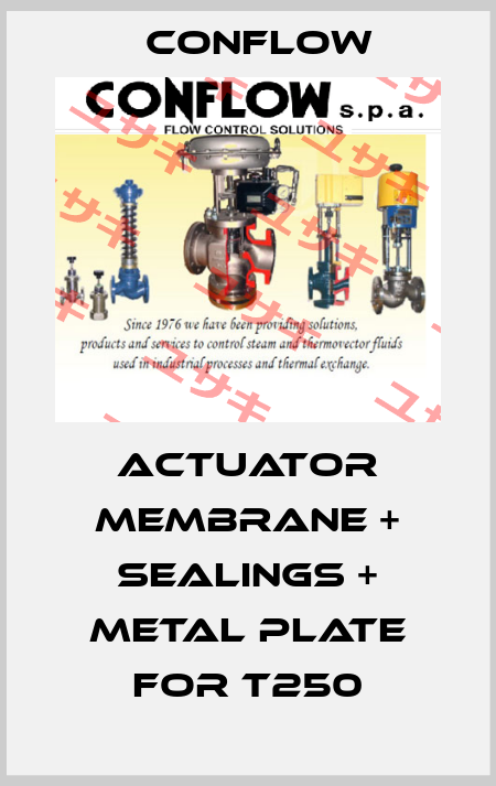 actuator membrane + sealings + metal plate for T250 CONFLOW