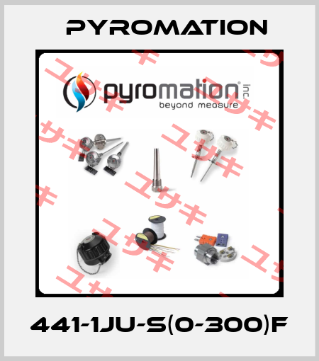 441-1JU-S(0-300)F Pyromation