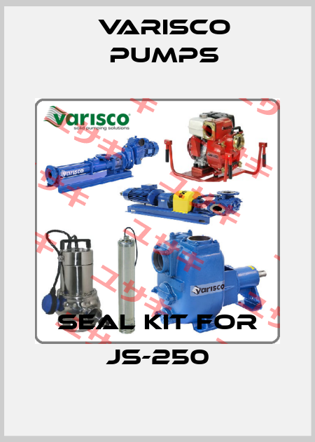 seal kit for JS-250 Varisco pumps