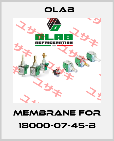 Membrane for 18000-07-45-B Olab
