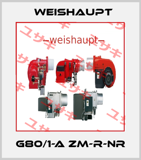 G80/1-A ZM-R-NR Weishaupt