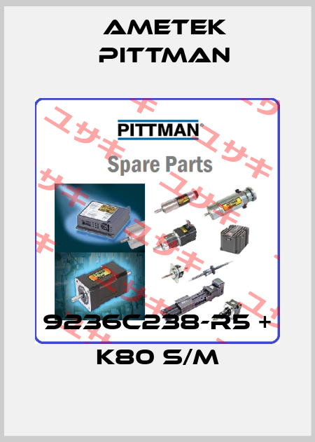 9236C238-R5 + K80 S/M Ametek Pittman