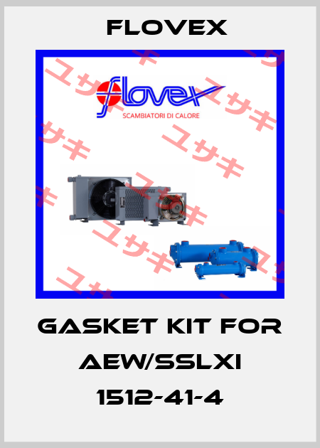 Gasket kit for AEW/SSLXI 1512-41-4 Flovex