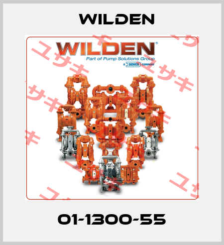 01-1300-55 Wilden