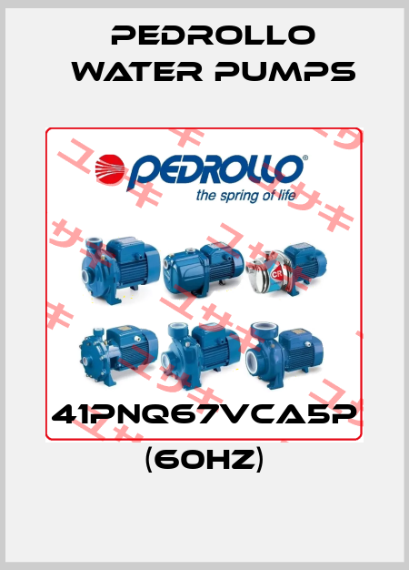41PNQ67VCA5P (60HZ) Pedrollo Water Pumps