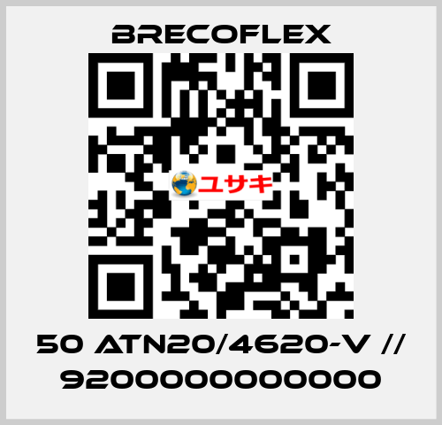 50 ATN20/4620-V // 9200000000000 Brecoflex