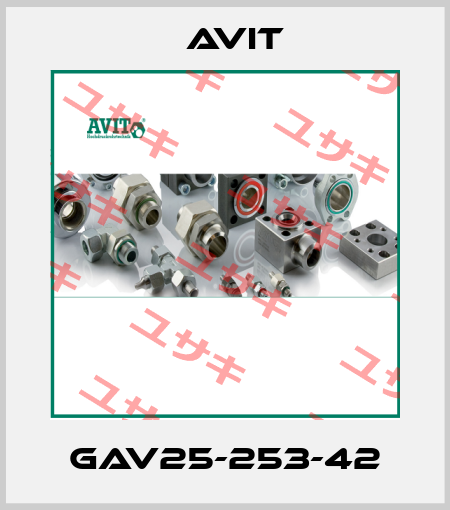 GAV25-253-42 Avit