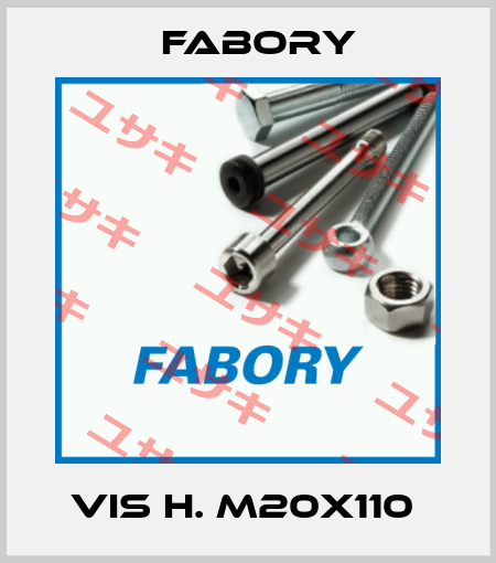 VIS H. M20X110  Fabory