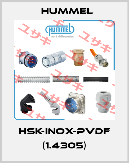 HSK-INOX-PVDF (1.4305) Hummel