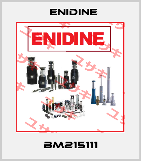 BM215111 Enidine