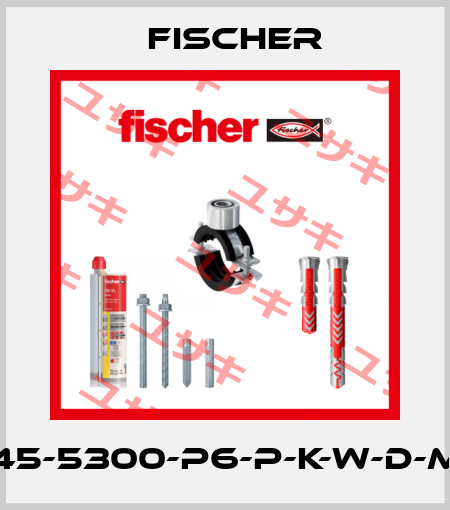 DE45-5300-P6-P-K-W-D-M-W Fischer
