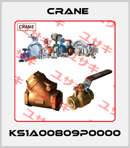 KS1A00809P0000 Crane