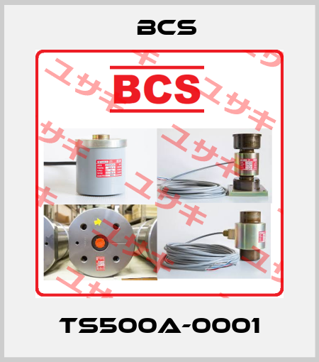 TS500A-0001 Bcs