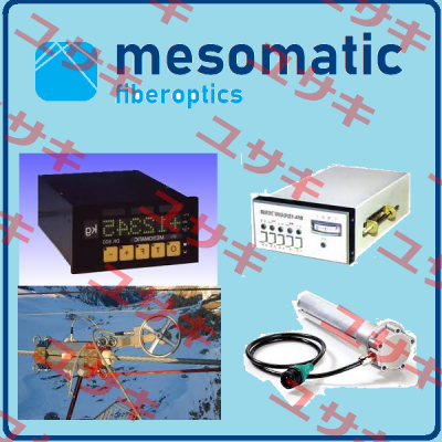 31074-Profibus DP/EN Mesomatic