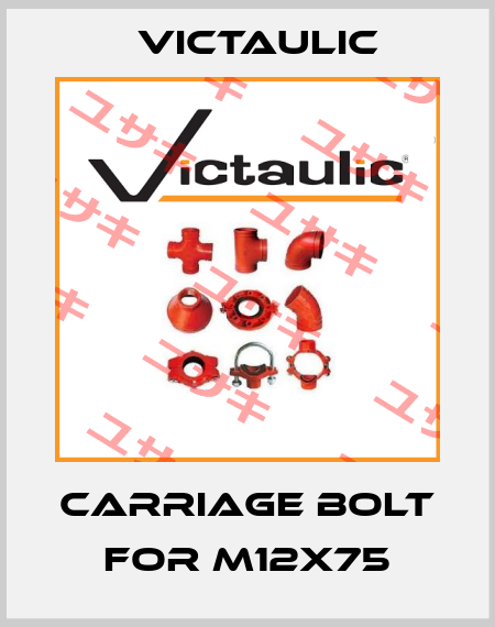 carriage bolt for M12x75 Victaulic