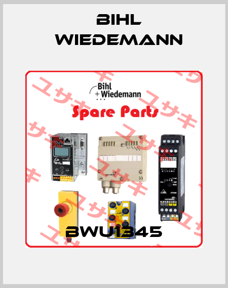 BWU1345 Bihl Wiedemann