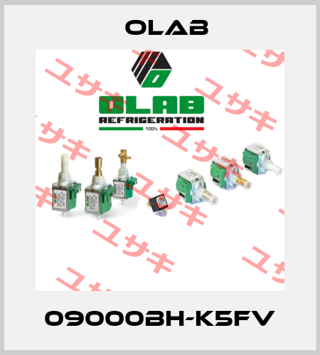 09000BH-K5Fv Olab