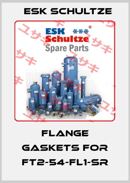 flange gaskets for FT2-54-FL1-SR Esk Schultze